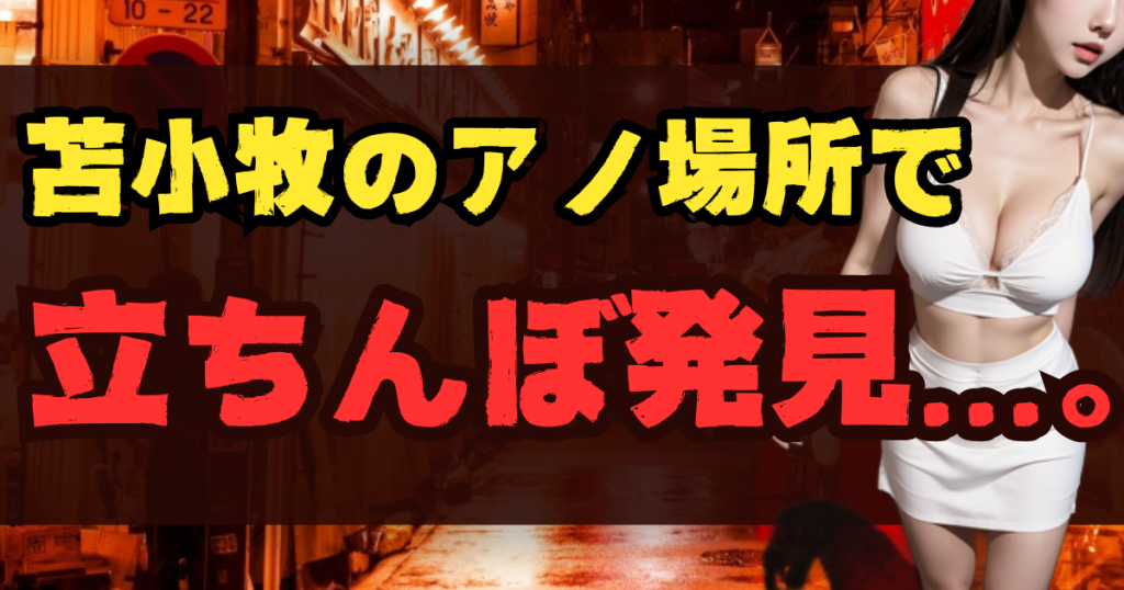 苫小牧の立ちんぼスポット13選！出没場所とエリア【2025年最新】のアイキャッチ画像